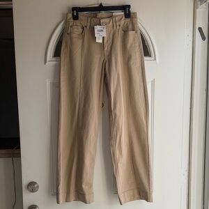 American Eagle Outfitters Beige Stretch Pants
